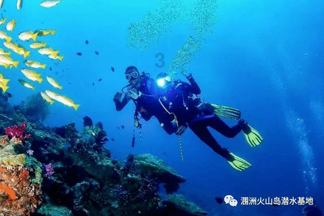 逗小猴开心系列194